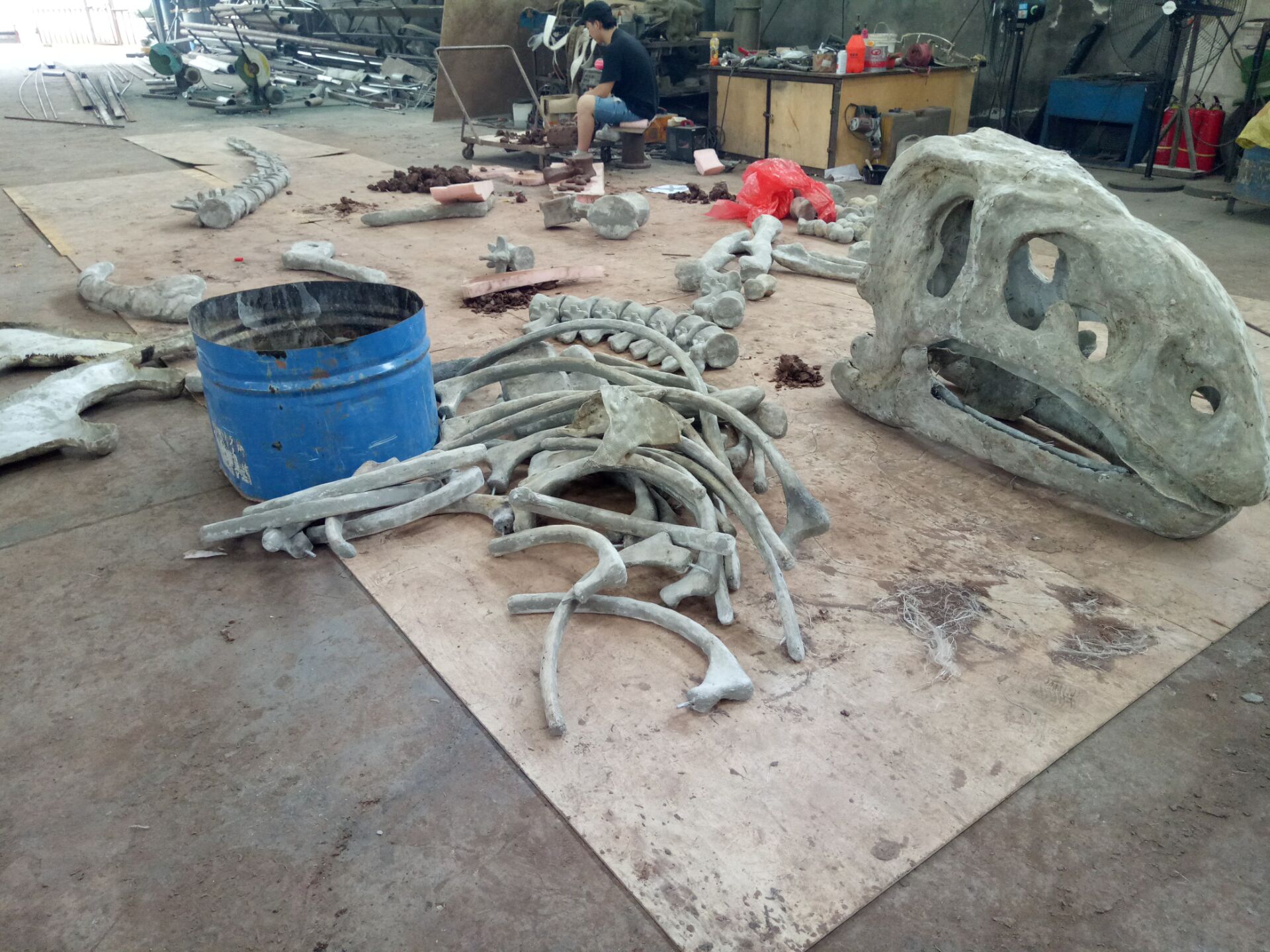 New Museum Product: 8M Long dinosaur Fossil Replicate