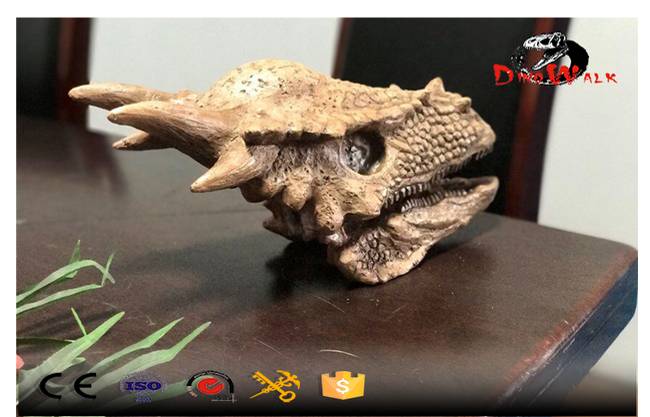 Dinosaur Fossil Head Replica Model