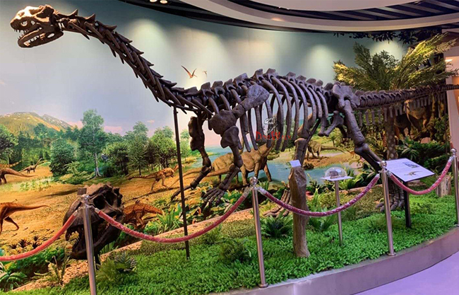 Dinosaur Fossil Replicate 