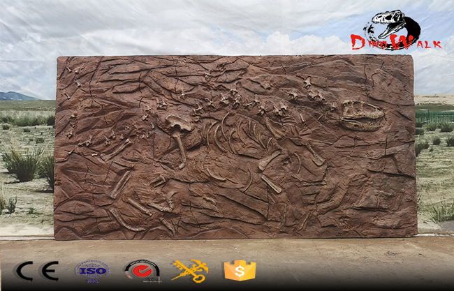 Dinosaur Fossils Archaeological Excavation Site Simulation Replicate