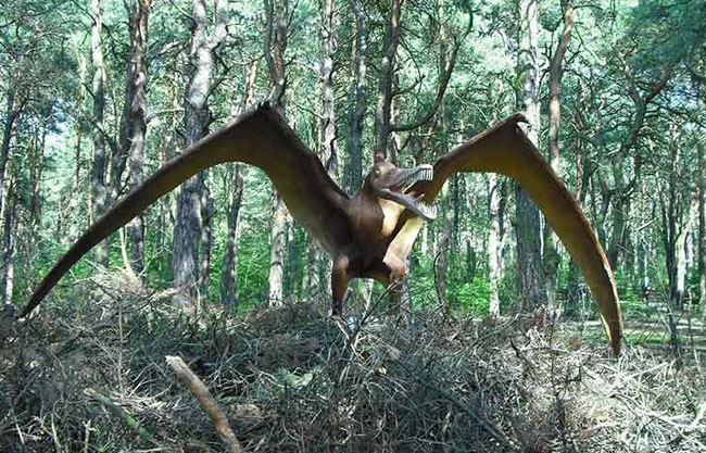 Pterosaur Simulation Statue Made out of Fiberglass