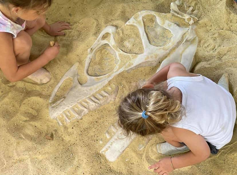 Realistic Museum Quality Animatronic Sheep Model for Sale