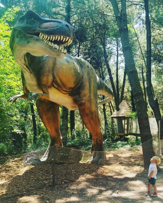 Mini Golf - Dinopedia Aventure Project