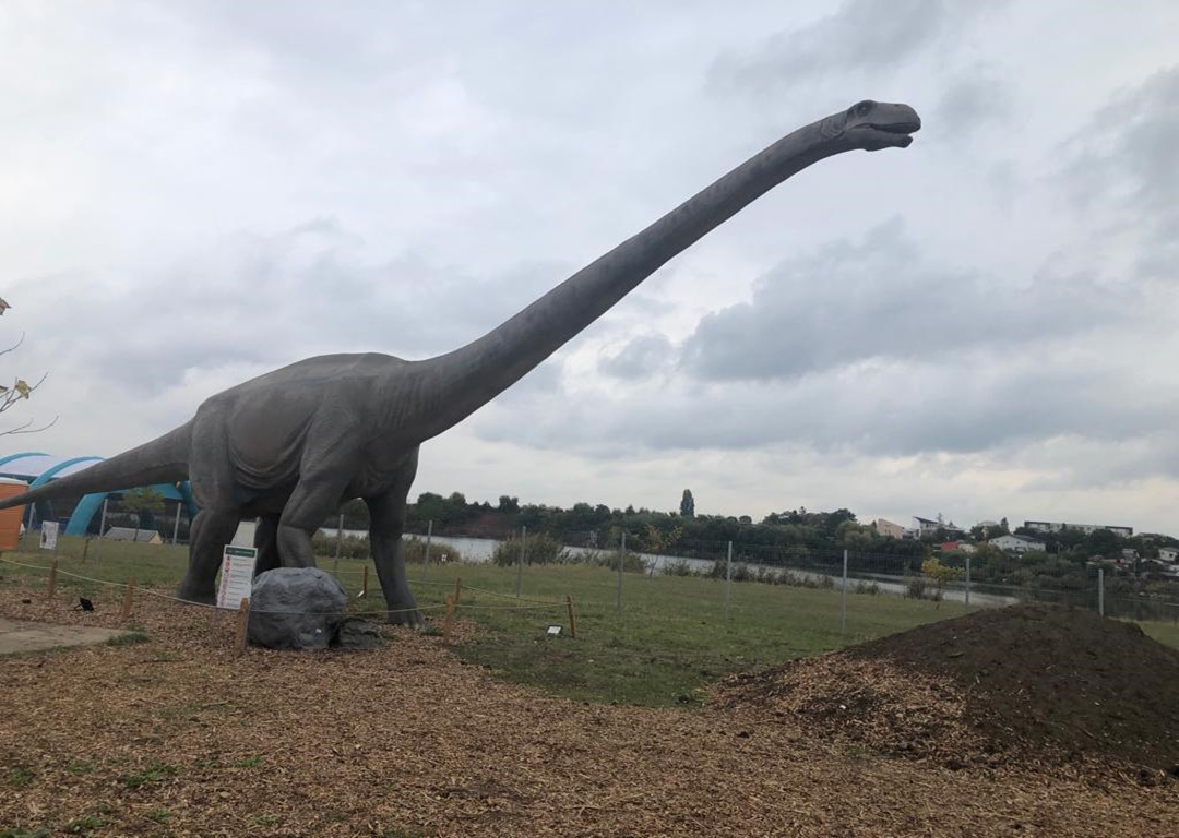 Experience the Mesmerizing World of Dinosaurs at Romania's Jurassic Park Animatronic Dinosaurs Exhibition
