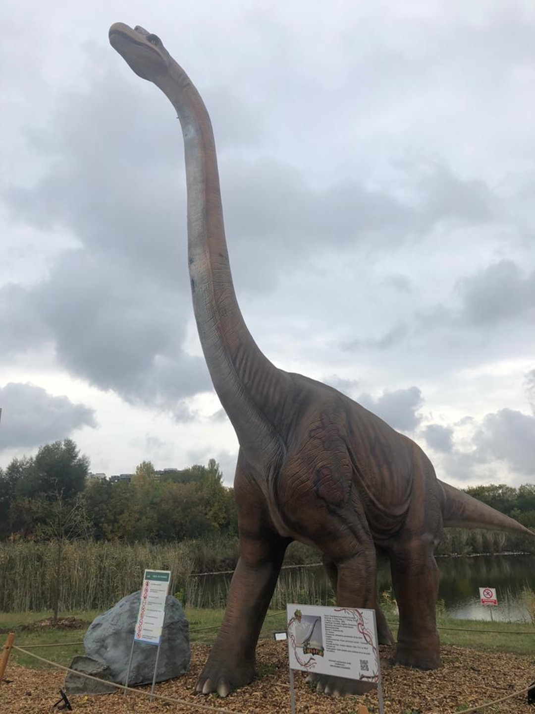 Experience the Mesmerizing World of Dinosaurs at Romania's Jurassic Park Animatronic Dinosaurs Exhibition