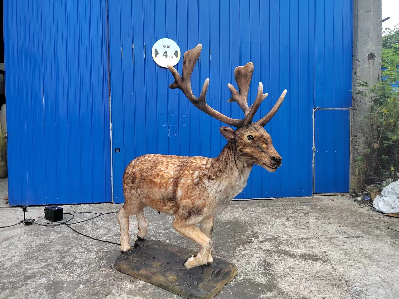 Realistic animatronic deer model for exhibition