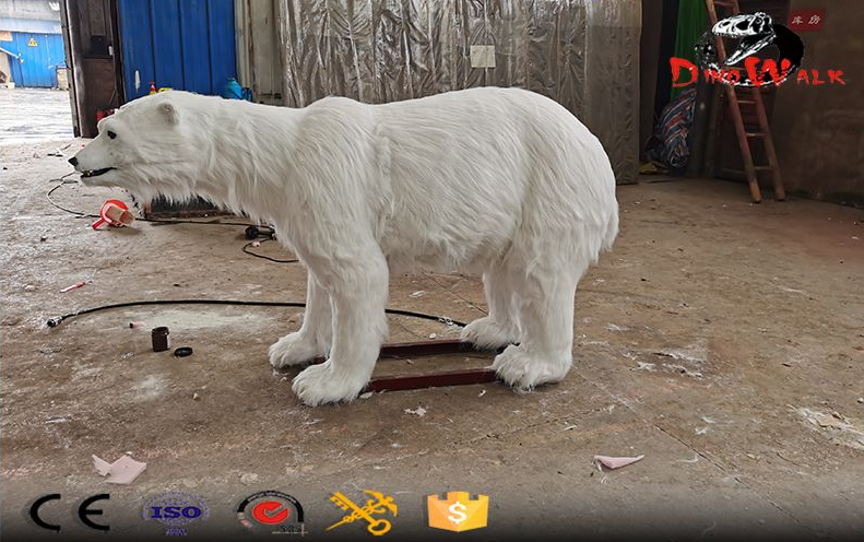 Polar Bear Facts Polar Bear Facts