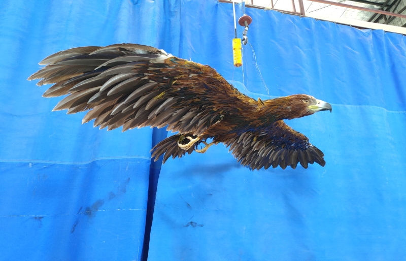 Realistic Life-Size Animal Models with Museum Quality