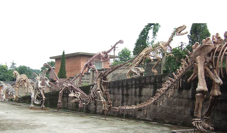 Fiberglass Dinosaur Fossil Replica for Sale