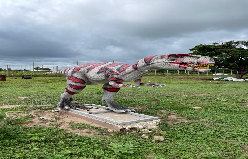 Bolivia Dinosaur Park Project