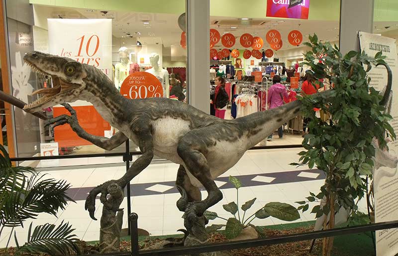Fiberglass dinosaur model display for entertain