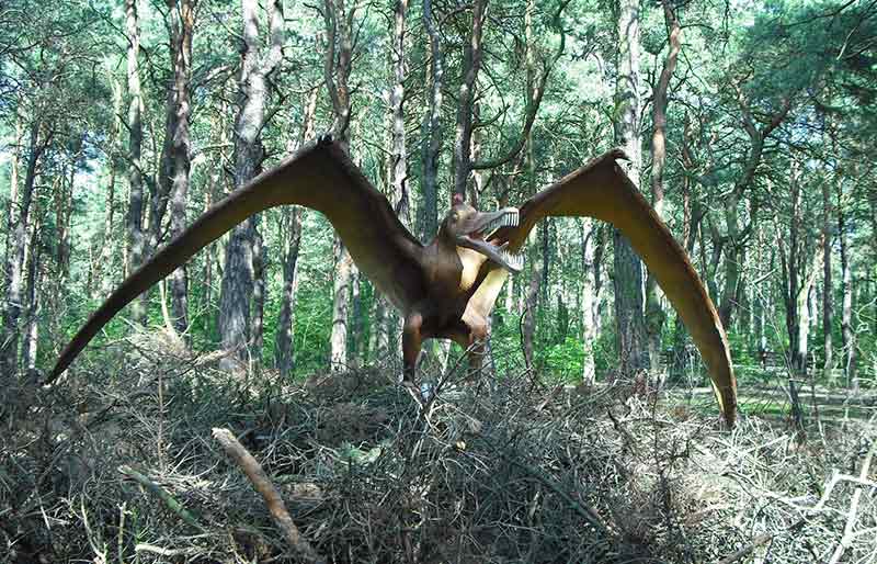 pterosaur simulation statue made out of fiberglass pterosaur simulation statue made out of fiberglass