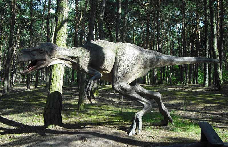 realistic Fiberglass Dinosaur statue for amusement park realistic Fiberglass Dinosaur statue for amusement park