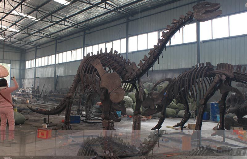 1/1 Revivification dinosaurs Fossils Replicas for Museum