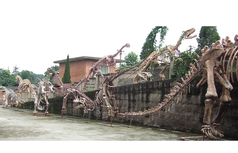 Fiberglass Dinosaur Fossil Replica for Sale Fiberglass Dinosaur Fossil Replica for Sale