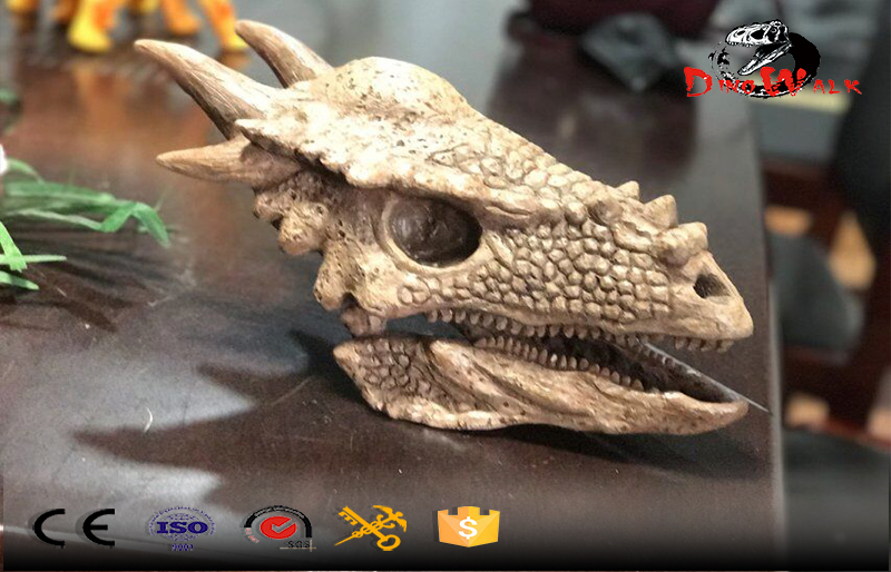 delicate dinosaur fossil head replicate model