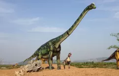 Fiberglass Dinosaurs