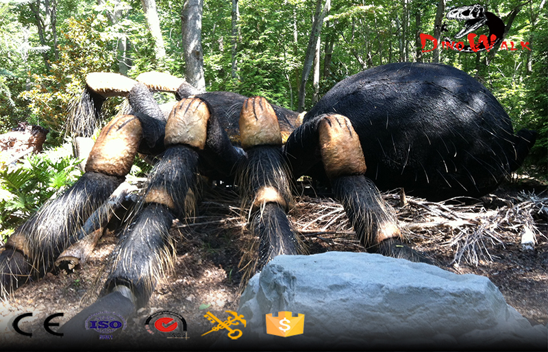 Simulation Spider Model Simulation Spider Model