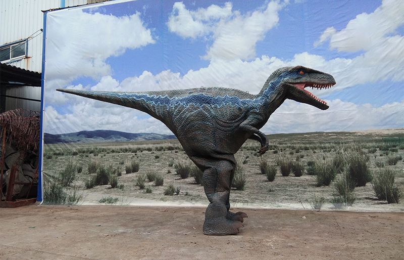 Hidden legs animatronic velociraptor dinosaur suit