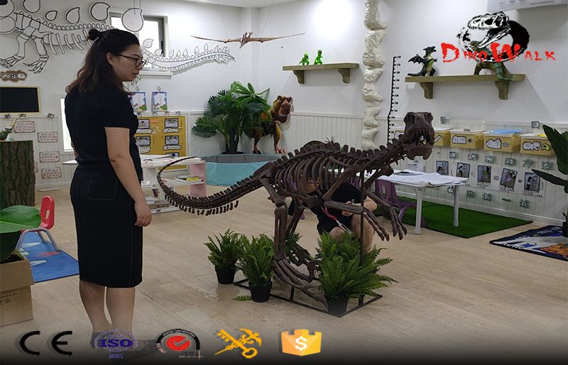 velociraptor dinosaur skeleton for dino museum