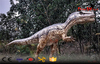 The Journey of Searching for Dinosaur Footprints