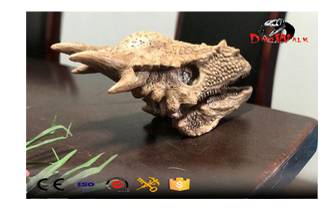 Dinosaur Footprints Found in Fujian