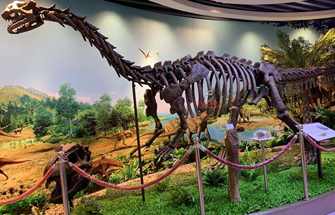 Scientists Have Catalogued More than 1,100 Extinct Dinosaurs