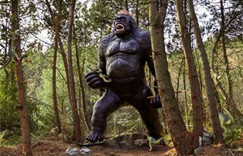 Large Realistic Animatronic King Kong Model