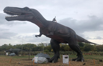 Experience the Mesmerizing World of Dinosaurs at Romania's Jurassic Park Animatronic Dinosaurs Exhibition