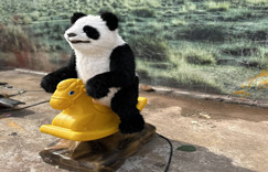Life size real animatronic panda animal model for exhibition