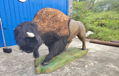 Life size Animatronic Buffalo model for sale