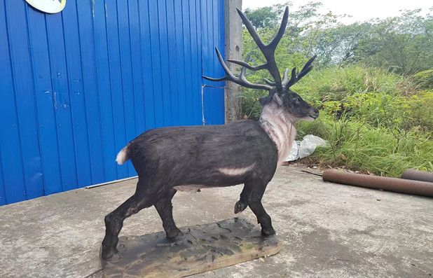 Realistic artificial animatronic reindeer model for Christmas decoration