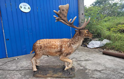 Realistic animatronic deer model for exhibition