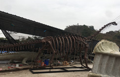 12 meters length Brachiosaurus dinosaur skeleton sculpture