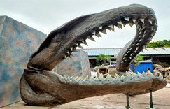High simulation artificial fiberglass Megamouth shark skeleton sculpture model