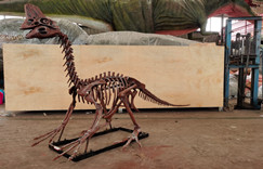 Dino Park real size 2.5 meters Oviraptor skeleton model