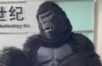 New Custom Realistic Gorilla Costume for Sale