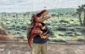 What Are the Differences Between Dinosaur Hand Puppets and Dinosaur Shoulder Puppets? What Are the Differences Between Dinosaur Hand Puppets and Dinosaur Shoulder Puppets?