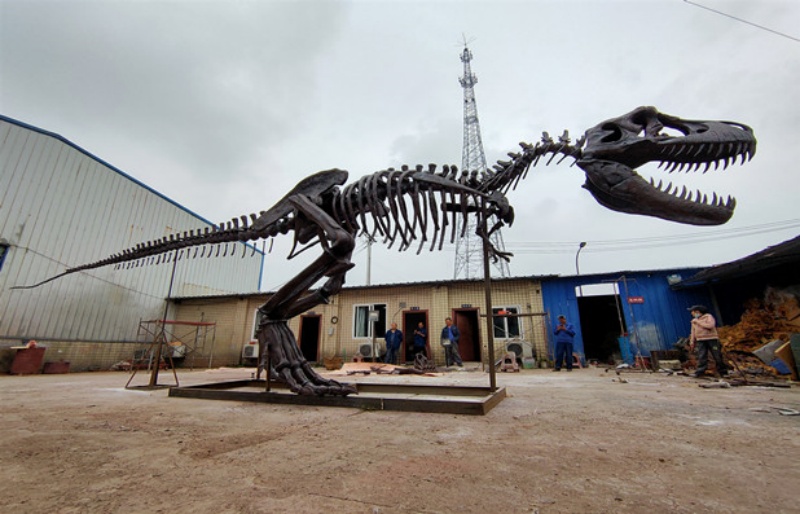 Dinosaur skeleton sculpture T-Rex skeleton model