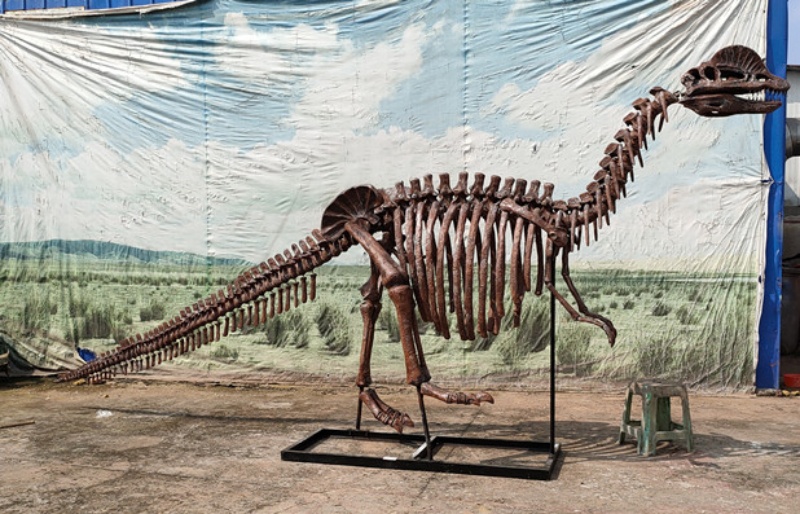 Full size educational artificial fiberglass Dilophosaurus skeleton