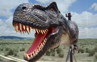 Realistic Animatronic Dinosaur Head Buidling Decoration