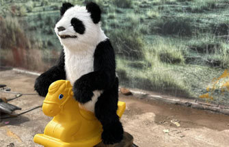 Educational Animatronic Animals for STEM Learning in Schools Educational Animatronic Animals for STEM Learning in Schools