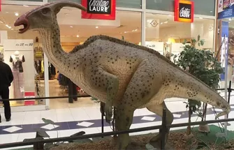 Where are animatronic dinosaurs commonly used?